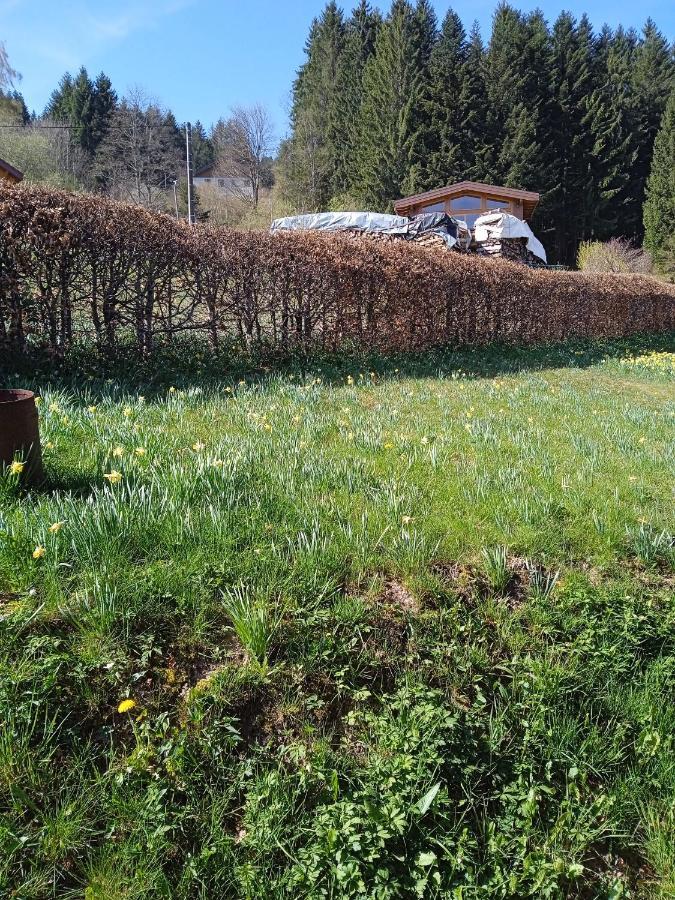 Chalet Du Poli Villa Xonrupt-Longemer Esterno foto